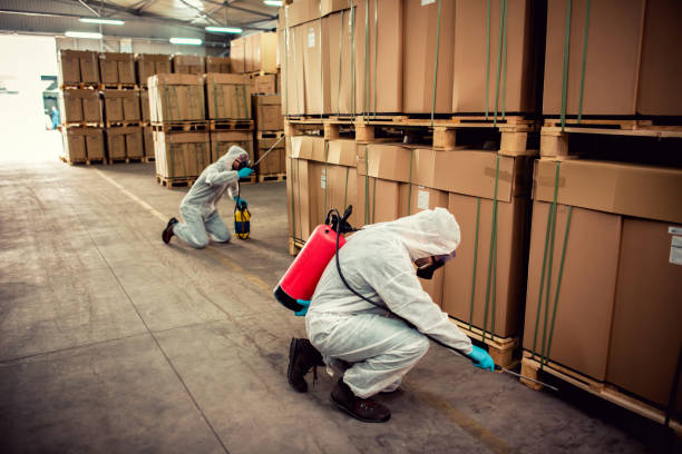 Best Pest Control Near Me in Wolf Trap, VA