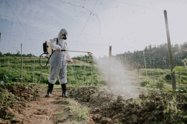 Best Ant Control Services  in Wolf Trap, VA