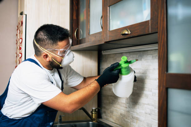 Flea Control Services in Wolf Trap, VA