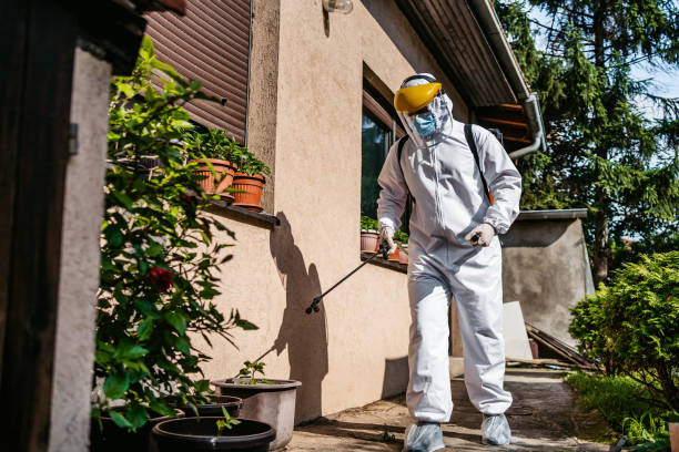 Best Rat Extermination Near Me  in Wolf Trap, VA