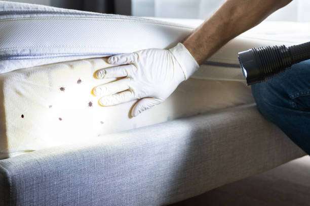 Best Pest Removal Services  in Wolf Trap, VA