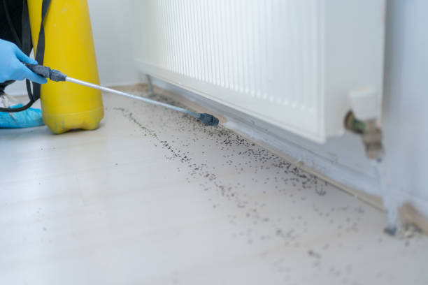 Best Commercial Pest Control Services  in Wolf Trap, VA