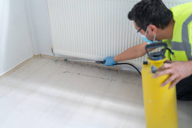 Best Ant Control Services  in Wolf Trap, VA